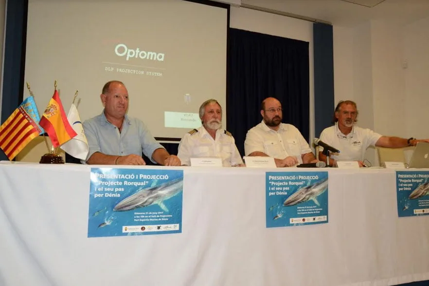 La ballena rorcual, el visitante más asíduo de la costa de Dénia 1 presentacion del projecte rorcual en denia