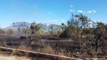 Solar quemado en Dénia