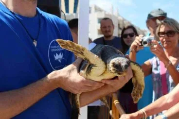 Suelta de tortugas en Dénia