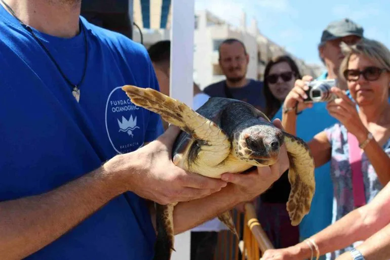 Suelta de tortugas en Dénia