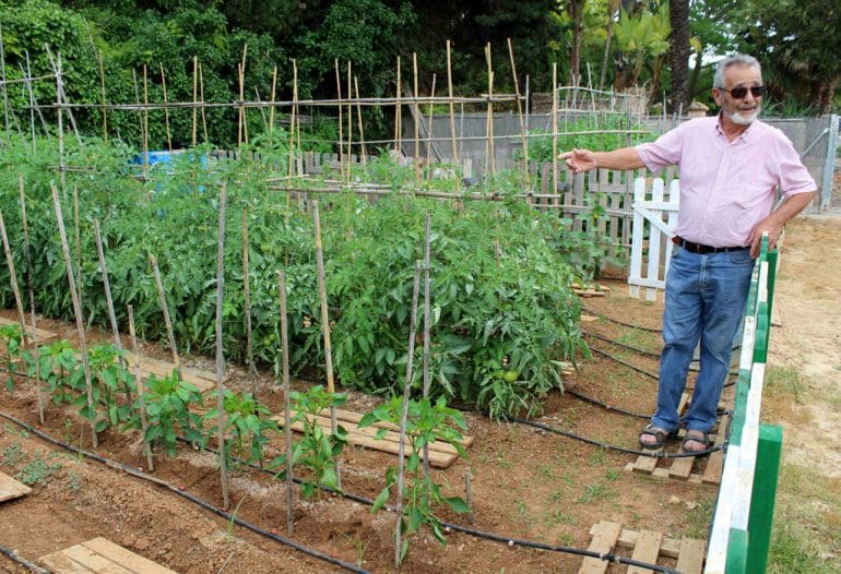 Visita a los huertos urbanos de Dënia