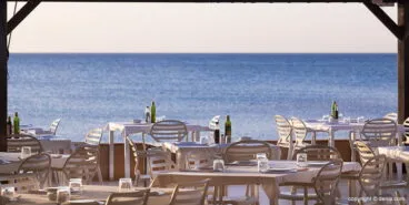 Vistas Restaurant Noguera