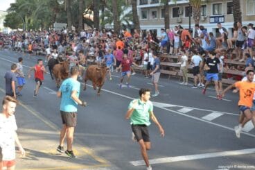 Última entrada de toros de Dénia 2017 – bous a la mar