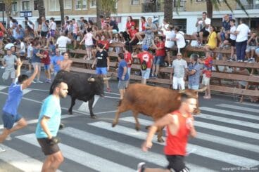 Última entrada de toros de Dénia 2017 – recorrido de los toros