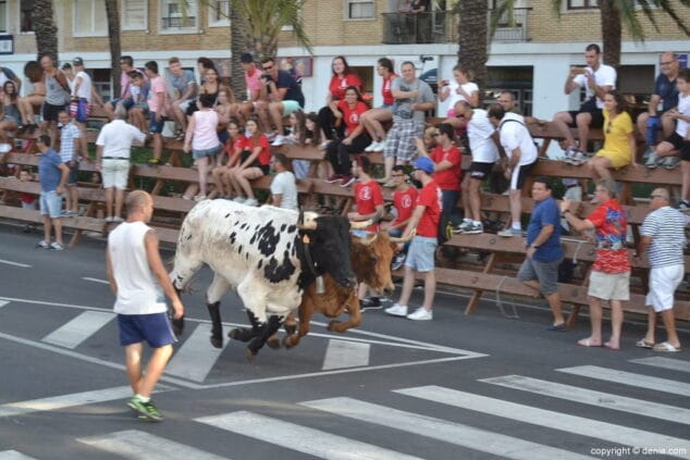12 ultima entrada de toros de denia 2017 reses de la ganaderia la paloma
