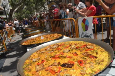 Paellas Día del Fallero 2017 – Paellas participantes