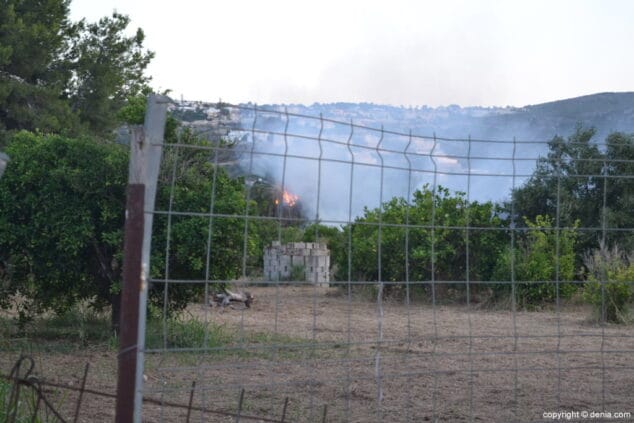 El incendio en una parcela del camino del Cementario obliga a cortar la carretera y evacuar las naves falleras 5 foco del incendio