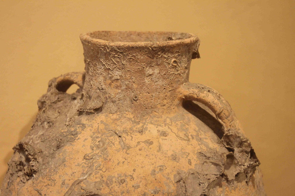 jarra donada por amparo escolano al museo arqueologico de denia