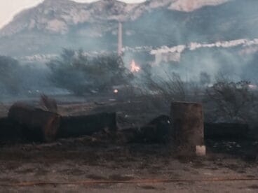 parcela que ha ardido en denia