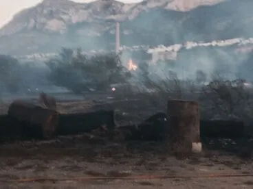 Parcela que ha ardido en Dénia