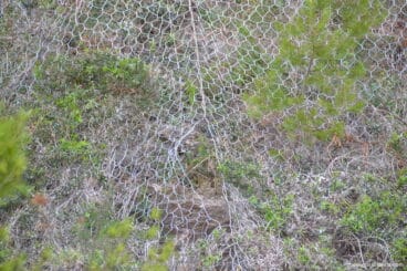 Agujero en la red por donde fue rescatado el bebe