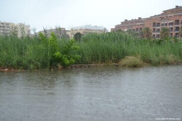 Camí del llavador de Dénia