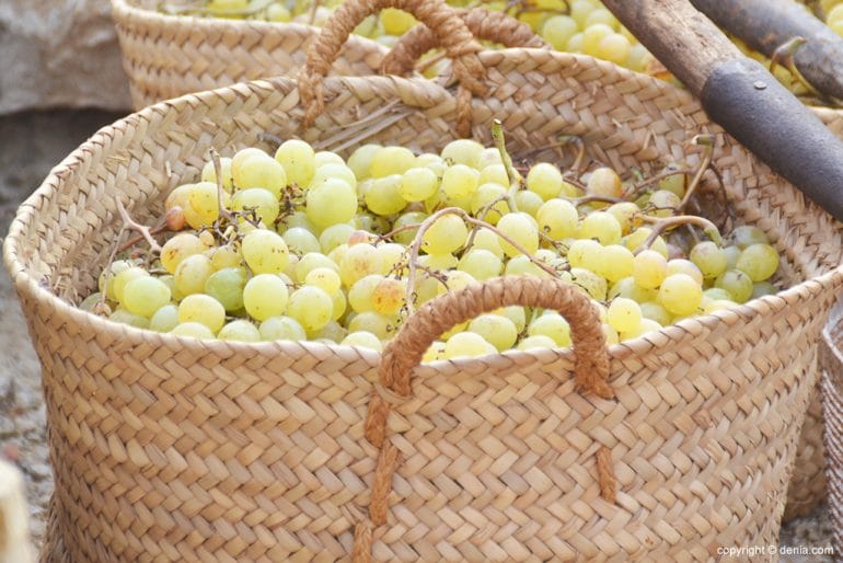 Capazo de uva moscatel