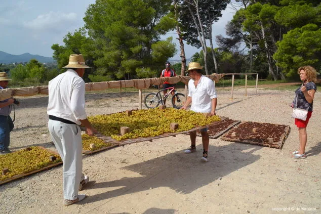 colocando el canizo para secar