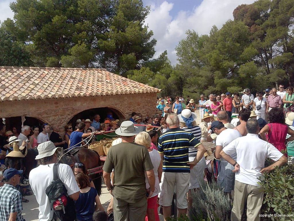 escalda de la pansa 2014 visitantes