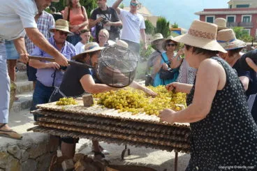 Expandiendo la uva sobre el cañizo