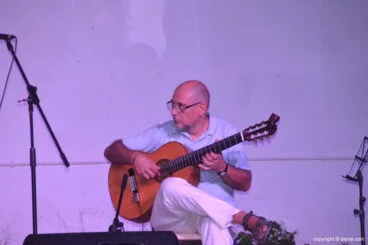 Guitarrista en plena actuación