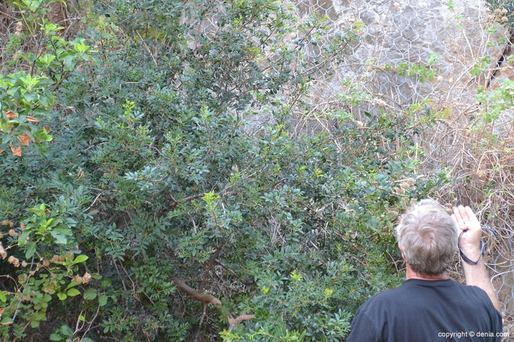 lugar donde fue rescatada la mujer