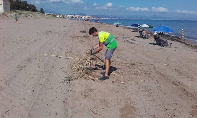operario de limpieza trabajando en la playa de denia