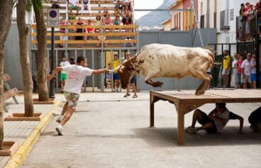 toros en la xara