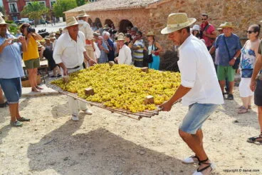 Traslado del cañizo