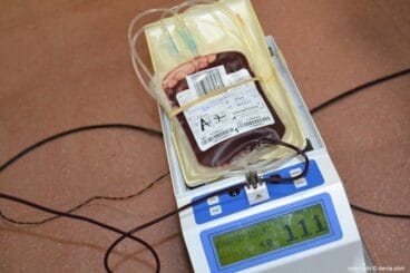 Bolsas de extracción del Maratón de Sangre de Dénia