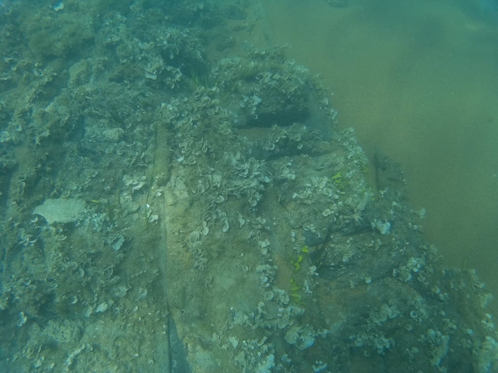 La familia francesa Marrell descubre un barco corsario sumergido frente a la costa dianense en 1813 3 restos del barco corsario