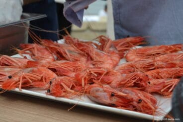 17 dna festival gastronomico denia gamba roja de denia 1