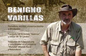 benigno varillas