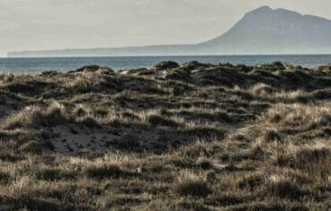 conferencia sobre la erosion de las playas