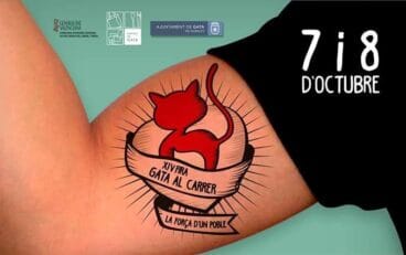 fira gata al carrer 2017