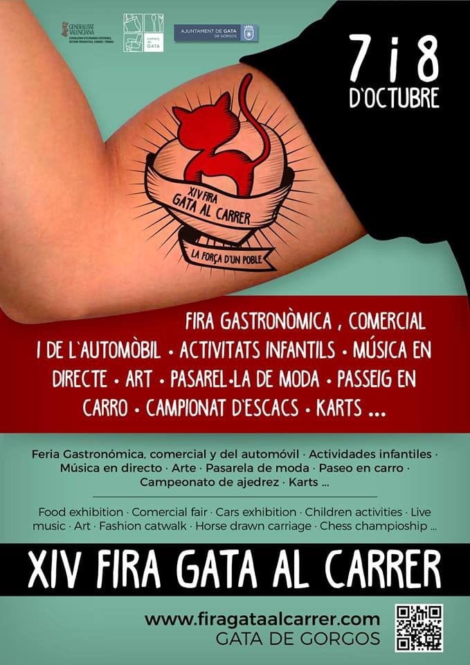 xiv fira gata al carrer 2017