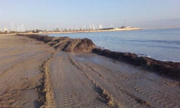 Barrera de posidonia en Dénia