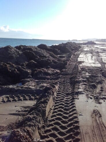 Barreras de posidonia en la playa de Dénia