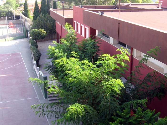 Colegio Paidos