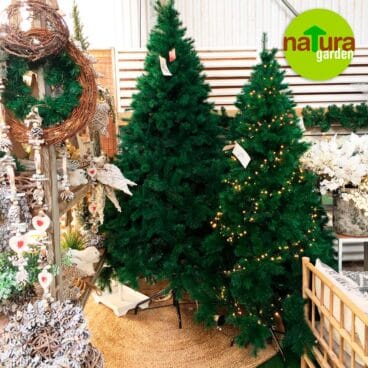 diversos arboles de navidad natura garden