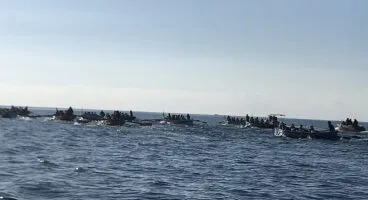 La flota de faluchos en el agua