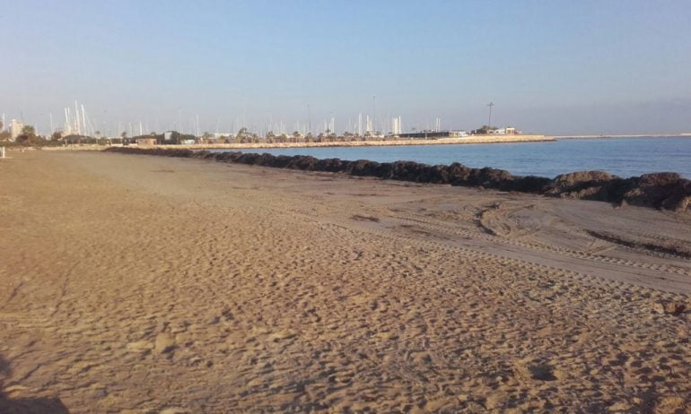 La posidonia protege las playas de Dénia