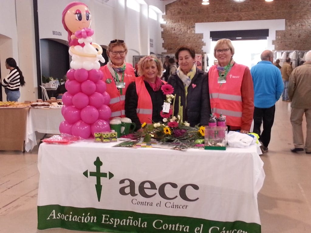 mercat de la terra ondara