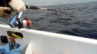 pescador echando su cana