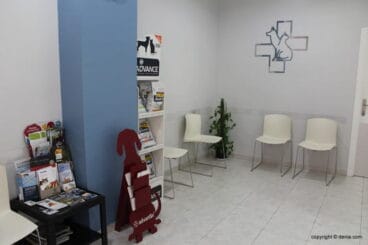 Wartezimmer der Tierklinik El Salar