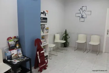 sala de espera clinica veterinaria el saladar