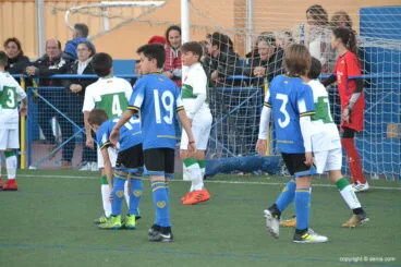 Alevines de Elche y Hércules