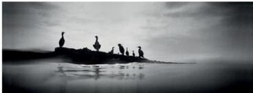 exposicion alfredo sanz