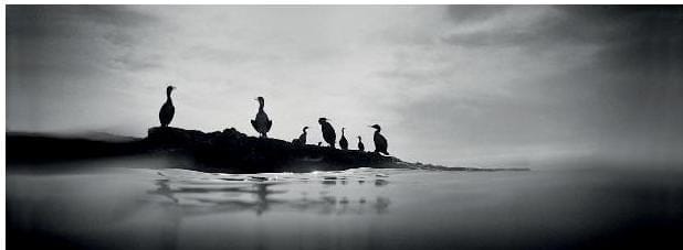 exposicion alfredo sanz