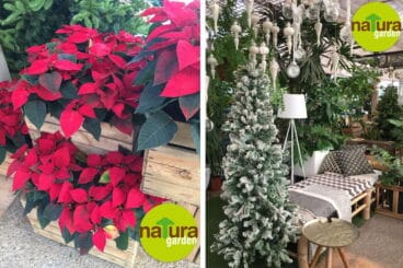 Natura Garden Escaparate Navidad
