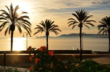 Sybaris Homes Arenal
