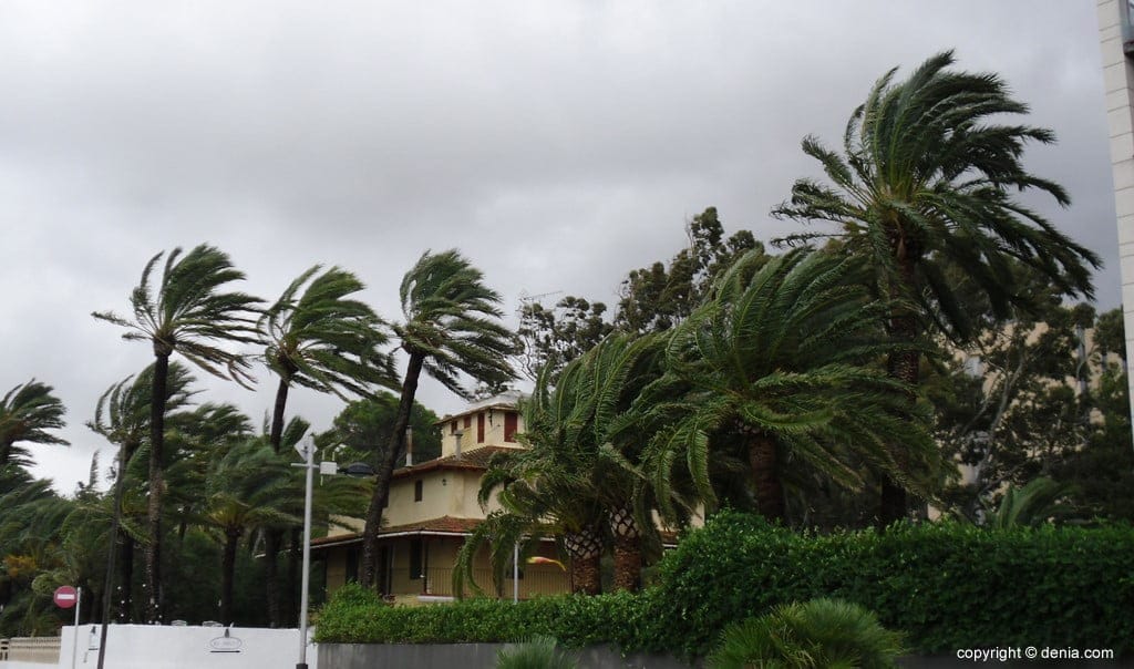 Alerta amarilla por fuertes vientos este miércoles en Dénia 1 viento en denia 1