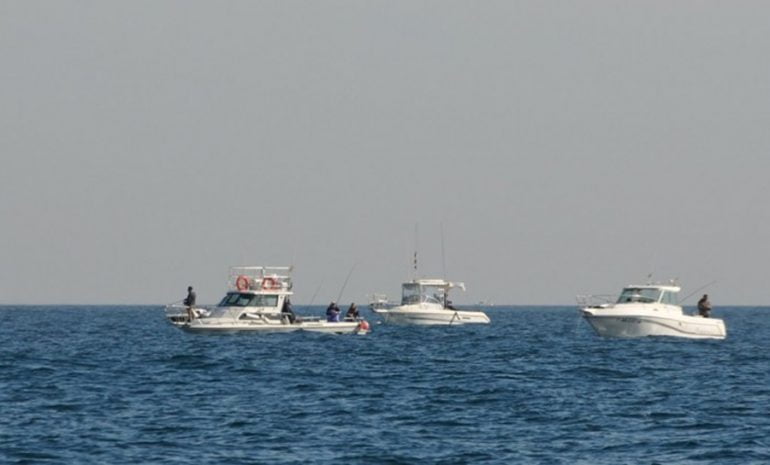 Vessels fishing in Dénia