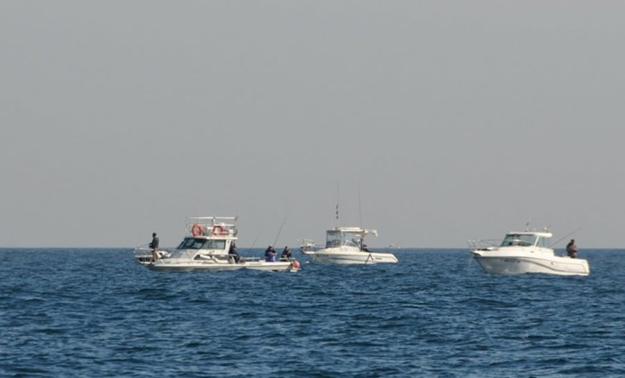 Barcos pescando en Dénia